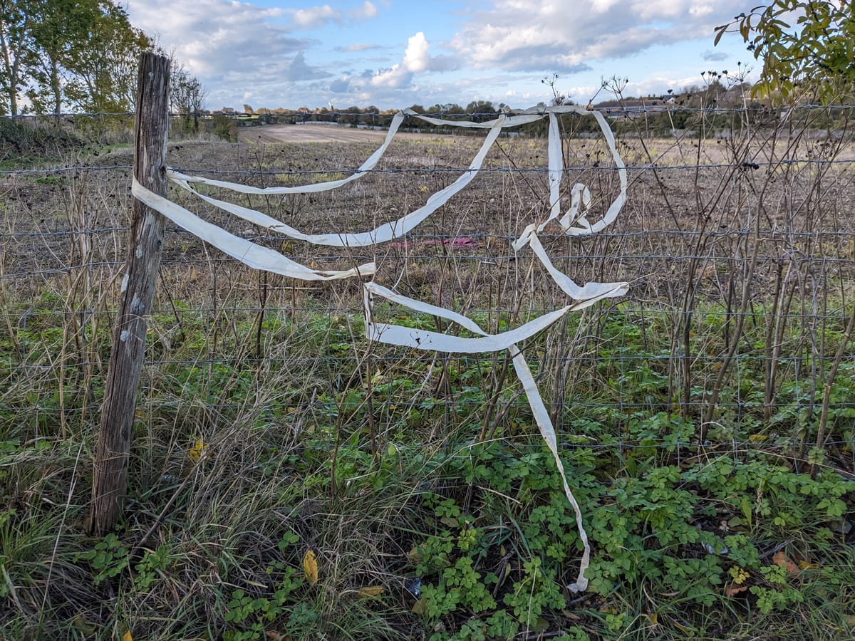 Power and Emergent Strategy